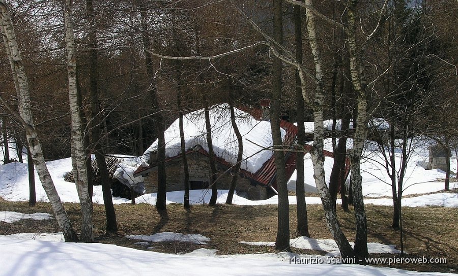 07 Baita nel bosco.JPG